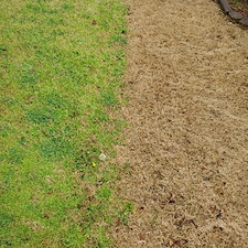 LawnCare 14